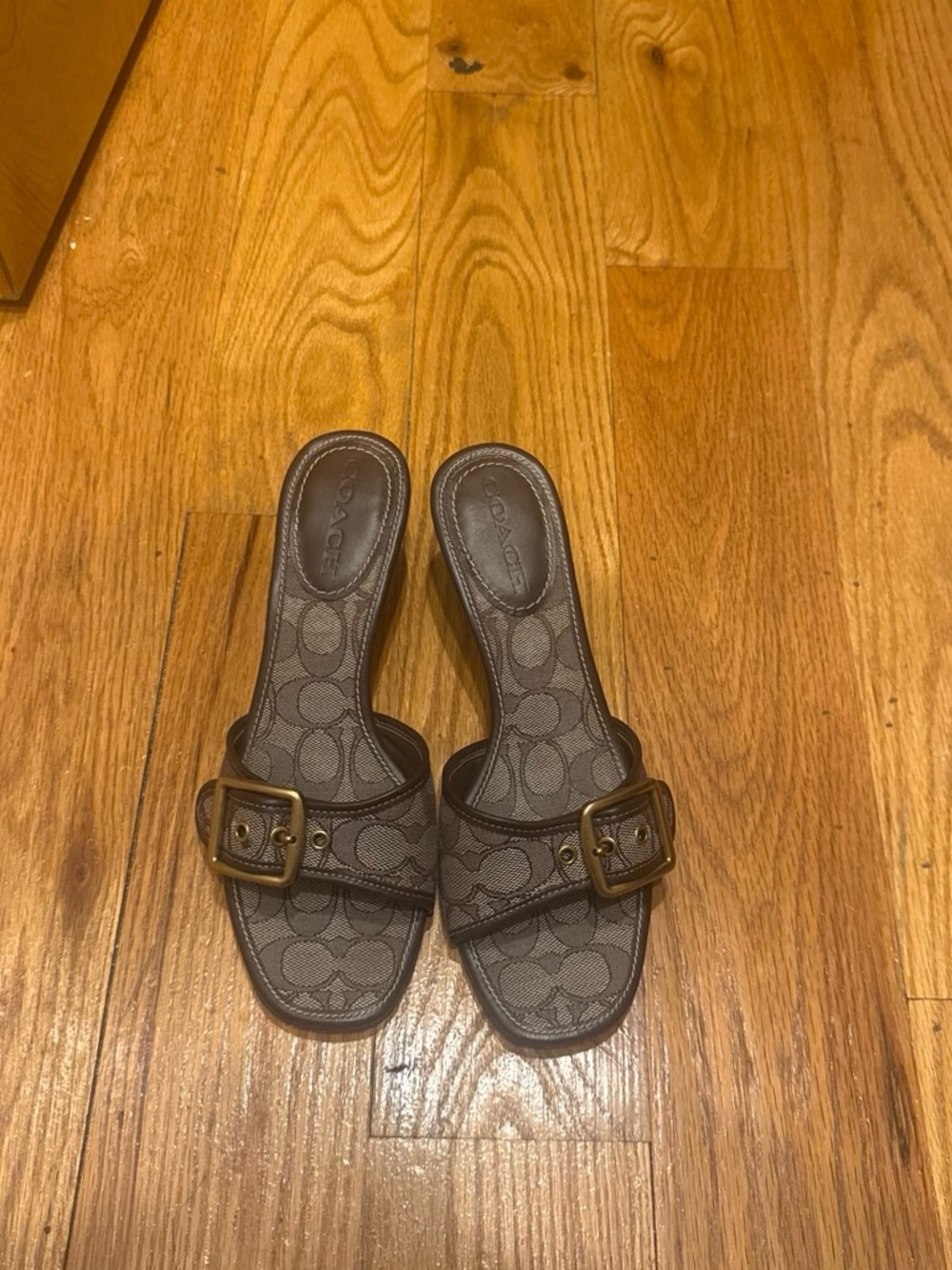 Coach Margot Brown Signature Buckle Kitten heels